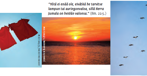 Helmi: 7 kevään ensimerkkiä